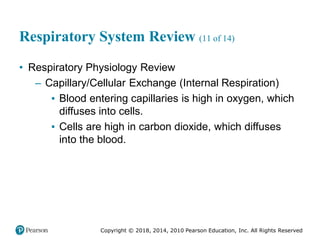 Pec11 chap 10   airway, ventilation, oxygenation
