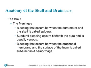 Pec11 chap 31 head trauma