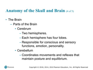 Pec11 chap 31 head trauma