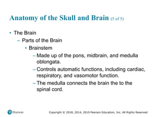 Pec11 chap 31 head trauma
