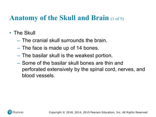 Pec11 chap 31 head trauma