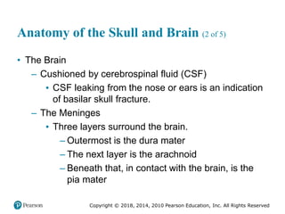 Pec11 chap 31 head trauma