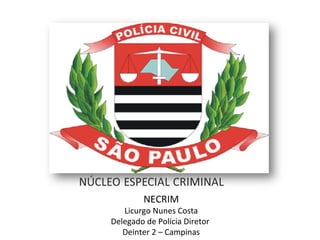 NECRIM
Licurgo Nunes Costa
Delegado de Polícia Diretor
Deinter 2 – Campinas
 