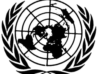 Tratados Internacionais




                          24
 