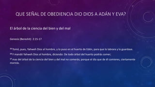 QUE SEÑAL DE OBEDIENCIA DIO DIOS A ADÁN Y EVA?
El árbol de la ciencia del bien y del mal
Genesis (Bereshit) 2:15-17
15 Tomó, pues, Yahweh Dios al hombre, y lo puso en el huerto de Edén, para que lo labrara y lo guardase.
16 Y mandó Yahweh Dios al hombre, diciendo: De todo árbol del huerto podrás comer;
17 mas del árbol de la ciencia del bien y del mal no comerás; porque el día que de él comieres, ciertamente
morirás.
 