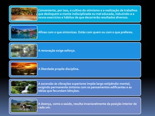 Conveniente, por isso, o cultivo do otimismo e a realização de trabalhos
que desloquem a mente indisciplinada ou mal educada, induzindo-a a
novos exercícios e hábitos de que decorrerão resultados diversos.
Afinas com o que sintonizas. Estás com quem ou com o que preferes.
A renovação exige esforço.
A liberdade propõe disciplina.
A ascensão às vibrações superiores impõe largo estipêndio mental,
exigindo permanente sintonia com os pensamentos edificantes e as
idéias que fecundam bênçãos.
A doença, como a saúde, resulta invariavelmente da posição interior de
cada um.
 