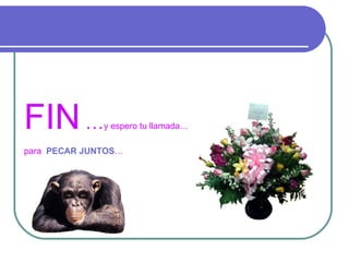FIN  … y espero tu llamada… para  PECAR JUNTOS … 