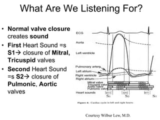 What Are We Listening For?
• Normal valve closure
creates sound
• First Heart Sound =s
S1 closure of Mitral,
Tricuspid valves
• Second Heart Sound
=s S2 closure of
Pulmonic, Aortic
valves
Courtesy Wilbur Lew, M.D.
 
