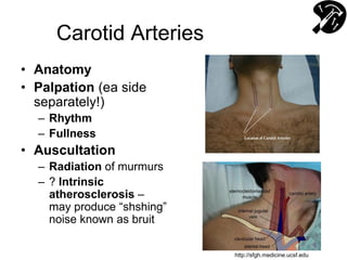 Carotid Arteries
• Anatomy
• Palpation (ea side
separately!)
– Rhythm
– Fullness
• Auscultation
– Radiation of murmurs
– ? Intrinsic
atherosclerosis –
may produce “shshing”
noise known as bruit
http://sfgh.medicine.ucsf.edu
 