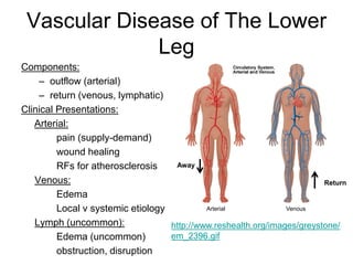 Vascular Disease of The Lower
Leg
Components:
– outflow (arterial)
– return (venous, lymphatic)
Clinical Presentations:
Arterial:
pain (supply-demand)
wound healing
RFs for atherosclerosis
Venous:
Edema
Local v systemic etiology
Lymph (uncommon):
Edema (uncommon)
obstruction, disruption
http://www.reshealth.org/images/greystone/
em_2396.gif
Away
Return
Arterial Venous
 