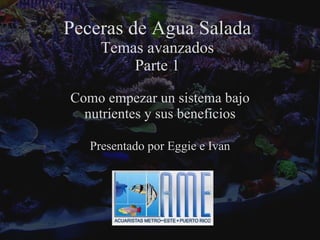 Peceras de Agua Salada Temas avanzados Parte 1 Como empezar un sistema bajo nutrientes y sus beneficios Presentado por Eggie e Ivan 