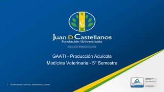 GAATI - Producción Acuícola
Medicina Veterinaria - 5° Semestre
 