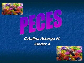 Catalina Astorga M. Kinder A PECES 