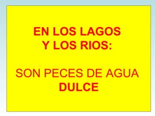 EN LOS LAGOS  Y LOS RIOS:   SON PECES DE AGUA  DULCE 