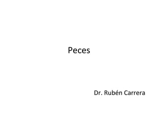 Peces



        Dr. Rubén Carrera
 