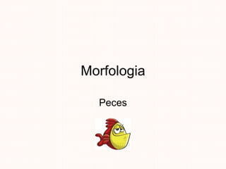Morfologia Peces 