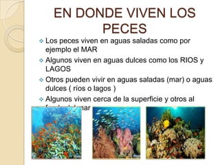 EN DONDE VIVEN LOS
PECES
 Los peces viven en aguas saladas como por
ejemplo el MAR
 Algunos viven en aguas dulces como los RIOS y
LAGOS
 Otros pueden vivir en aguas saladas (mar) o aguas
dulces ( ríos o lagos )
 Algunos viven cerca de la superficie y otros al
fondo del mar
 