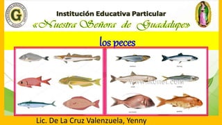 los peces
Lic. De La Cruz Valenzuela, Yenny
 