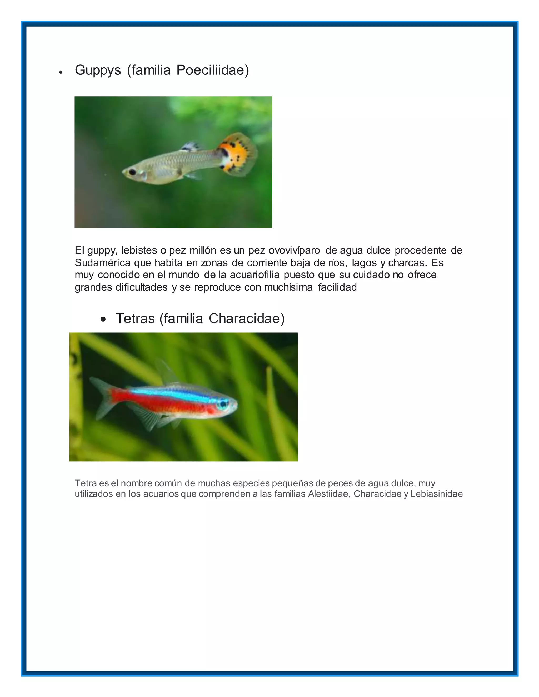 Especies de peces ornamentales de agua dulce PDF