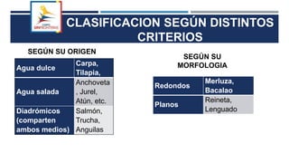 CLASIFICACION SEGÚN DISTINTOS
CRITERIOS
Agua dulce
Carpa,
Tilapia,
Agua salada
Anchoveta
, Jurel,
Atún, etc.
Diadrómicos
(comparten
ambos medios)
Salmón,
Trucha,
Anguilas
SEGÚN SU ORIGEN
Redondos
Merluza,
Bacalao
Planos
Reineta,
Lenguado
SEGÚN SU
MORFOLOGIA
 