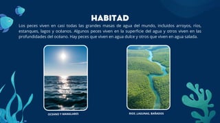 OCEANO Y MANGLARES
HABITAD
RIOS ,LAGUNAS, BAÑADOS
Los peces viven en casi todas las grandes masas de agua del mundo, incluidos arroyos, ríos,
estanques, lagos y océanos. Algunos peces viven en la superficie del agua y otros viven en las
profundidades del océano. Hay peces que viven en agua dulce y otros que viven en agua salada.
 