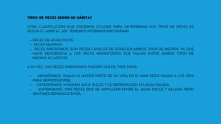 PECES DE AGUA DULCE
PECES MARINOS
PECES DIÁDROMOS: SON PECES CAPACES DE ESTAR EN AMBOS TIPOS DE MEDIOS, YA QUE
HACE REFERENCIA A LOS PECES MIGRATORIOS QUE VIAJAN ENTRE AMBOS TIPOS DE
MEDIOS ACUÁTICOS.
ANÁDROMOS: PASAN LA MAYOR PARTE DE SU VIDA EN EL MAR PERO VIAJAN A LOS RÍOS
PARA REPRODUCIRSE.
CATÁDROMOS: VIVEN EN AGUA DULCE Y SE REPRODUCEN EN AGUA SALADA.
ANFÍDROMOS: SON PECES QUE SE MOVILIZAN ENTRE EL AGUA DULCE Y SALADA, PERO
SIN FINES REPRODUCTIVOS.
TIPOS DE PECES SEGÚN SU HÁBITAT
OTRA CLASIFICACIÓN QUE PODEMOS UTILIZAR PARA DETERMINAR LOS TIPOS DE PECES ES
SEGÚN EL HÁBITAT. ASÍ, TENEMOS PODEMOS ENCONTRAR:
A SU VEZ, LOS PECES DIÁDROMOS PUEDEN SER DE TRES TIPOS:
 