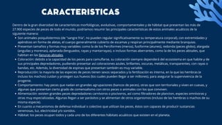 Son animales poiquilotermos (de "sangre fría", no pueden regular significativamente su temperatura corporal), con extremidades y
apéndices en forma de aletas, el cuerpo generalmente cubierto de escamas y respiran principalmente mediante branquias.
Presentan tamaños y formas muy variables: como la de los Perciformes (meros), fusiforme (atunes), redonda (peces globo), alargada
(anguilas y morenas), aplanada (lenguados, rayas y mantarrayas), o incluso formas aberrantes, como la de los peces abisales, que
habitan en las llanuras abisales.
Coloración: debido a la capacidad de los peces para camuflarse, su coloración siempre dependerá del ecosistema en que habite y de
sus principales depredadores, pudiendo presentar así coloraciones azules, brillantes, oscuras, metálicas, transparentes, con rayas o
bandas, etc. Además, la diversidad de espinas que presentan también es muy variable.
Reproducción: la mayoría de las especies de peces tienen sexos separados y la fertilización es interna, en la que las hembras (e
incluso los machos) cuidan y protegen sus huevos (los cuales pueden llegar a ser millones), para asegurar la supervivencia de la
progenie.
Comportamiento: hay peces que nadan en grandes agrupaciones (bancos de peces), otras que son territoriales y viven en cuevas, y
algunas que presentan cierto grado de comensalismo con otros peces o animales con los que conviven.
Alimentación: existen grandes peces depredadores carnívoros o piscívoros, así como filtradores de plancton, especies omnívoras y
otras muy especializadas. Algunas llegan a ser parásitos y se alimentan de otros organismos (incluso de las hembras o machos de su
misma especie).
En cuanto a mecanismos de defensa individual o colectivo que utilizan los peces, éstos son capaces de producir sustancias
venenosas, luz, electricidad y/o sonidos.
Hábitat: los peces ocupan todos y cada uno de los diferentes hábitats acuáticos que existen en el planeta.
Dentro de la gran diversidad de características morfológicas, evolutivas, comportamentales y de hábitat que presentan las más de
27.900 especies de peces de todo el mundo, podríamos resumir las principales características de estos animales acuáticos de la
siguiente manera:
CARACTERISTICAS
 