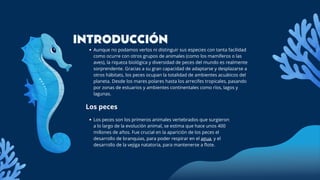 Aunque no podamos verlos ni distinguir sus especies con tanta facilidad
como ocurre con otros grupos de animales (como los mamíferos o las
aves), la riqueza biológica y diversidad de peces del mundo es realmente
sorprendente. Gracias a su gran capacidad de adaptarse y desplazarse a
otros hábitats, los peces ocupan la totalidad de ambientes acuáticos del
planeta. Desde los mares polares hasta los arrecifes tropicales, pasando
por zonas de estuarios y ambientes continentales como ríos, lagos y
lagunas.
Los peces son los primeros animales vertebrados que surgieron
a lo largo de la evolución animal, se estima que hace unos 400
millones de años. Fue crucial en la aparición de los peces el
desarrollo de branquias, para poder respirar en el agua, y el
desarrollo de la vejiga natatoria, para mantenerse a flote.
Los peces
INTRODUCCIÓN
 