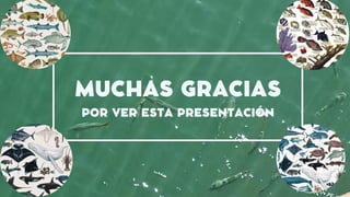 MUCHAS GRACIAS
POR VER ESTA PRESENTACIÓN
 