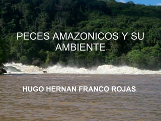 PECES AMAZONICOS Y SU AMBIENTE HUGO HERNAN FRANCO ROJAS 