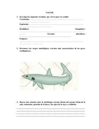 TALLER
1. Investiga los siguientes términos que sirven para tu estudio:
Vertebrado:…………………………………………………………………………
…………………………………….....
Espiráculo:…………………………………………………………………………
………………………………………….
Hendiduras branquiales:
………………………………………………………………………………………
………. Escamas placoideas:
..........................................................................................................
Ovíparos:
………………………………………………………………………………………
………………………………
2. Reconocer los rasgos morfológicos externos más característicos de los peces
cartilaginosos.
3. Buscar una relación entre la morfología externa (forma del cuerpo, forma de la
cola, coloración, posición de la boca y los ojos) de la raya y el tiburón.
……………………………………………………………………………………………
……………………………………………………………………………………………
……………………………………………………………………………………………
……………………………………………………………………………………………
 