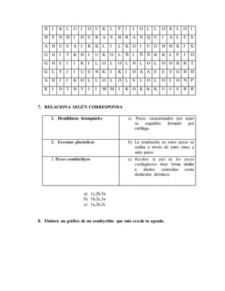 H I K L G J O U K L P I L O L L O K L O I
H E N D I D U R A S B R A N Q U I A L E S
A H U S A J K K L I L K G J U G B H K I K
G H J T K H J U K O L Ñ I Ñ Ñ K K L P J O
G H E J I K I L O L O L N L O L O O R R T
G L Y J I U U N K I K I O A A E E V G B H
A H J I K O L L O L O L S L O L O L O N P
K I D T H Y J I M M J K O K K K U U E R R
7. RELACIONA SEGÚN CORRESPONDA
1. Hendiduras branquiales a) Peces caracterizados por tener
su esqueleto formado por
cartílago.
2. Escamas placiodeas b) La respiración en estos peces se
realiza a través de entre cinco y
siete pares.
3. Peces condricthyos c) Recubre la piel de los peces
cartilaginosos tiene forma similar
a dientes conocidas como
dentículos dérmicos.
a) 1c,2b,3a
b) 1b,2c,3a
c) 1a,2b,3c
8. Elabora un gráfico de un condrycthio que más sea de tu agrado.
 