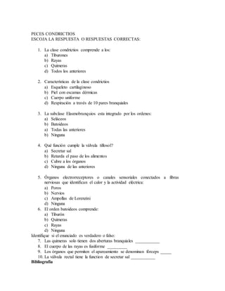 PECES CONDRICTIOS
ESCOJA LA RESPUESTA O RESPUESTAS CORRECTAS:
1. La clase condrictios comprende a los:
a) Tiburones
b) Rayas
c) Quimeras
d) Todos los anteriores
2. Características de la clase condrictios
a) Esqueleto cartilaginoso
b) Piel con escamas dérmicas
c) Cuerpo uniforme
d) Respiración a través de 10 pares branquiales
3. La subclase Elasmobranquios esta integrado por los ordenes:
a) Seláceos
b) Batoideos
a) Todas las anteriores
b) Ninguna
4. Qué función cumple la válvula tiflosol?
a) Secretar sal
b) Retarda el paso de los alimentos
c) Cubre a los órganos
d) Ninguna de las anteriores
5. Órganos electrorreceptores o canales sensoriales conectados a fibras
nerviosas que identifican el calor y la actividad eléctrica:
a) Poros
b) Nervios
c) Ampollas de Lorenzini
d) Ninguna
6. El orden batoideos comprende:
a) Tiburón
b) Quimeras
c) Rayas
d) Ninguna
Identifique si el enunciado es verdadero o falso:
7. Las quimeras solo tienen dos aberturas branquiales ___________
8. El cuerpo de las rayas es fusiforme _________
9. Los órganos que permiten el apareamiento se denominan fórceps _____
10. La válvula rectal tiene la function de secretar sal ___________
Bibliografía
 