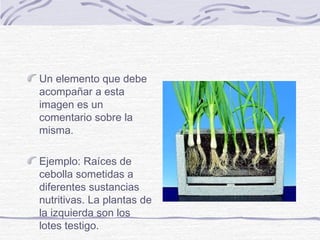  ¿si lo qué se desea es el peso
promedio de las mujeres?
Este es el otro tipo de
datos. Se les llama
cuantitativos, ya que se
requiere del uso de un
instrumento de medición.
Una vez que
determinamos el peso de
las mujeres por medio de
una báscula, podemos
emplear alguna
transformación, como el
promedio, para obtener el
dato
 