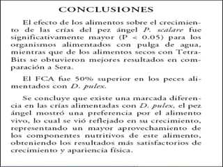 Analisis de datos: Informe científico