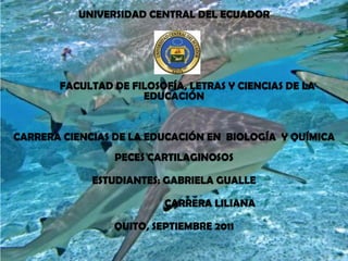 UNIVERSIDAD CENTRAL DEL ECUADOR           FACULTAD DE FILOSOFÍA, LETRAS Y CIENCIAS DE LA EDUCACIÓN    CARRERA CIENCIAS DE LA EDUCACIÓN EN  BIOLOGÍA  Y QUÍMICA  PECES CARTILAGINOSOS  ESTUDIANTES: GABRIELA GUALLE                            CARRERA LILIANA   QUITO, SEPTIEMBRE 2011   