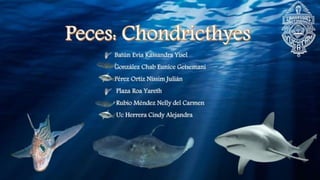 Peces Chondrichthyes.pdf