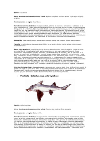 Prombuscis Fish Peces Costeros Argentinos | DOC