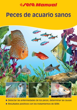 Peces de acuario sanos
n Detectar las enfermedades de los peces, determinar las causas
n Resultados positivos con los tratamientos de SERA
 
