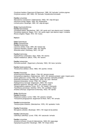 Corydoras hastatus Eigenmann & Eigenmann, 1888 - NV: tachuela / coridora pigmea 
Corydoras aeneus (Gill, 1858) - NV: tachuela / limpiafondos bronceado 
Familia Loricariidae 
Plecostomus commersoni (Valenciennes, 1840) - NV: vieja del agua 
Otocinclus arnoldi Regan, 1909 - NV: limpiavidrios 
Loricaria parva Boulenger, 1895 - NV: vieja del agua 
Orden Cyprinodontiformes 
Familia Aplocheilidae 
Cynolebias bellotti Steindachner, 1881 - NV: pavito azul / pez abanico azul / cinolebia 
Cynolebias nigripinnis Regan, 1912 - NV: pavito negro / pez abanico negro / cinolebia 
Rivulus strigatus Regan, 1912 - NV: rivulus 
PARTE II 
Clase Osteichthyes 
Orden Characiformes 
Familia Anostomidae 
Leporinus striatus Kner, 1859 - NV: trompa roja 
Leporinus fasciatus Günther, 1864 - NV: boguita 
Abramites solarii (Holmberg, 1887) - NV: jikii 
Familia Erythrinidae 
Hoplerythrinus unitaeniatus (Spix, 1829) - NV: tararira 
Hoplias malabaricus (Bloch, 1794) - NV: tararira 
Familia Lebiasinidae 
Pyrrhulina australis (Eigenmann y Kennedy, 1903) - NV: levia / pirrulina 
Familia Gasteropelecidae 
Thoracochrax stellatus (Kner, 1860) - NV: pechito / chirola 
Familia Characidae 
Acestrorhynchus falcatus (Bloch, 1794)- NV: dentudo dorado 
Cynopotamus argenteus (Valenciennes, 1847) - NV: dentudo jorobado / gata / mojarra perro 
Charax gibbousus (Linné, 1758) - NV: mojarra dentuda / dentudito jorobado 
Roeboides bonariensis (Steindachner, 1879) - NV: piraí / dientudo 
Astyanax bimaculatus (Linné, 1758) - NV: mojarra 
Psellogrammus kennedyi (Eigenmann, 1903) - NV: mojarra 
Markiana nigripinnis (Perugia, 1891) - NV: mojarra / ipiau 
Tetragonopterus argentus Cuvier, 1817 - NV: relojito / chanquete 
Triportheeus paranensis (Günther, 1874) - NV: cuchilleta / chape 
Anisitsia orthonops (Eigenmann & Kennedy, 1903) - NV: tijereta 
Orden Siluriformes 
Familia Doradidae 
Platydoras costatus (Linné, 1766) - NV: yaranira / armado 
Trachydoras paraguayensis (Eigenmann & Ward, 1907) - NV: armado 
Familia Auchenipteridae 
Trachycorystes striatulus (Steindachner, 1876) - NV: apretador / torito 
Familia Pimelodidae 
Microglanis cottoides (Boulenger, 1891) - NV: bagre de las piedras 
Familia Callichthyidae 
Callichthys callichthys (Linné, 1758) - NV: cascarudo / armado 
Familia Loricariidae 
Ancistrus cirrhosus (Cuvier & Valenciennes, 1840)- NV: pega pega 
Hypoptopoma guentheri Boulenger, 1895 - NV: limpia vidrios 
 