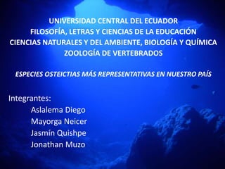 UNIVERSIDAD CENTRAL DEL ECUADOR
FILOSOFÍA, LETRAS Y CIENCIAS DE LA EDUCACIÓN
CIENCIAS NATURALES Y DEL AMBIENTE, BIOLOGÍA Y QUÍMICA
ZOOLOGÍA DE VERTEBRADOS
ESPECIES OSTEICTIAS MÁS REPRESENTATIVAS EN NUESTRO PAÍS
Integrantes:
Aslalema Diego
Mayorga Neicer
Jasmín Quishpe
Jonathan Muzo
 