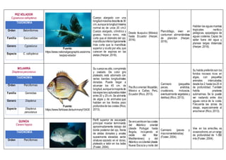 PEZ VOLADOR
Cypselurus callopterus
TAXONOMIA
Orden Beloniformes
Familia Exocoetidae
Genero Cypselurus
Especie C. callopterus
Fuente:
https://www.nationalgeographic.es/anima
les/pez-volador
Cuerpo alargado con una
longitudmáximadescritade30
cm,aunquelalongitudmáxima
normal es de unos 20 cm.3
Cuerpo alargado, cilíndrico y
grueso; hocico romo, más
corto que el diámetro del ojo;
mandíbulainferiorligeramente
más corta que la mandíbula
superior y oculto por ella, que
carecen de espinas en las
aletas (Harper, 2016).
Desde Acapulco (México)
hasta Ecuador (Harper,
2016).
Planctófago, viven en
cardumen alimentándose
de plancton (Harper,
2016).
Habitan las aguas marinas
tropicales nerítico-
pelágicas, epipelágico de
aguas costeras. Capaz de
saltar fuera del agua y
planear largas distancias
(Harper, 2016).
MOJARRA
Diapterus peruvianus
TAXONOMIA
Orden Perciformes
Familia Gerreidae
Genero Diapterus
Especie Diapterus
peruvianus
Fuente:
https://www.fishbase.de/summary/10430
Su cuerpoes alto, comprimido
y ovalado. De color gris
plateado, está adornado con
varias bandas longitudinales
doradas. Puede llegar a
alcanzar los 45 cm. de
longitud,aunquelamayoríade
lasespeciescapturadasmiden
entre 20 y 25 cm. Se alimenta
de algas y de animales que
habitan en los fondos poco
profundosde las costas (Rico,
2013).
Pacíficooriental:Mazatlán,
México a Callao, Perú,
Ecuador (Rico, 2013).
Carnívoro (pequeños
peces, anélidos,
crustáceos, moluscos,
eventualmente vegetales y
detritus) (Rico, 2013).
Su habita preferidoson los
fondos rocosos ricos en
algas, con pequeños
arenales intercalados;
desdelos 2 hasta los20 m
de profundidad. También
habita praderas
submarinas. Se le puede
ver nadando entre dos
aguas cerca de la costa.
Frecuenta las zonas de
oleaje, especialmente al
anochecer (Rico, 2013).
QUINOA
Caranx hippos
TAXONOMIA
Orden Perciformes
Perfil superior de escarpado
principal maxilar terminando
aproximadamente debajo del
borde posterior del ojo, frente
de aletas dorsales y anales
suavemente elevadas verde
oliváceo azulado en el dorso,
plateado a latón en los lados
(Foster, 2004).
Se encuentraenlascostas
del Atlántico oriental
(desde Portugal hasta
Angola, incluyendo el
oeste del Mar
Mediterráneo) y del
Atlántico occidental(desde
Nueva Escocia y norte del
Carnívoro (peces y
macroinvertebrados)
(Foster, 2004).
Vive en los arrecifes, es
oceanodromo,enunrango
de profundidad de 1-350
mts (Foster, 2004).
 