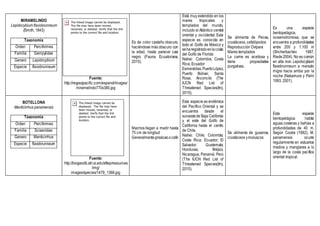 MIRAMELINDO
Lepidocybium flavobrunneum
(Smith, 1843)
Taxonomía
Orden Perciformes
Familia Gempylidae
Genero Lepidocybium
Especie flavobrunneum
Fuente:
http://reypezpacific.com/espanol/images/
miramelindo770x380.jpg
Es de color castaño obscuro,
haciéndose más obscuro con
la edad, hasta parecer casi
negro (Fauna Ecuatoriana,
2015).
Está muy extendido en los
mares tropicales y
templados del mundo,
incluido el Atlántico central
oriental y occidental. Esta
especie es conocida en
todo el Golfo de México y
seharegistradoenlacosta
del Golfo de Florida
Nativo: Colombia; Costa
Rica; Ecuador
Esmeraldas,PuertoLópez,
Puerto Bolívar, Santa
Rosa, Anconcito (The
IUCN Red List of
Threatened Species(tm),
2015).
Se alimenta de Peces,
crustáceos, cefalópodos
Reproducción Ovípara
Mares templados
La carne es aceitosa y
tiene propiedades
purgativas.
Es una especie
bentopelágica,
oceanodromosa, que se
encuentra a profundidades
entre 200 y 1.100 m
(Shcherbachev 1987,
Riede2004). No es común
en alta mar. Lepidocybium
flavobrunneum a menudo
migra hacia arriba por la
noche (Nakamura y Parin
1993, 2001).
BOTELLONA
Menticirrhus panamensis
Taxonomía
Orden Perciformes
Familia Sciaenidae
Genero Menticirrhus
Especie flavobrunneum
Fuente:
http://biogeodb.stri.si.edu/sftep/resources
/img/
images/species/1479_1366.jpg
Machos llegan a medir hasta
75 cm de longitud
Generalmentegrisáceoocafé
Esta especie es endémica
del Pacífico Oriental y se
encuentra desde el
suroestede Baja California
y el este del Golfo de
California hasta el centro
de Chile.
Nativo: Chile; Colombia;
Costa Rica; Ecuador; El
Salvador; Guatemala;
Honduras; Méjico;
Nicaragua; Panamá; Perú
(The IUCN Red List of
Threatened Species(tm),
2010).
Se alimenta de gusanos,
crustáceos ymoluscos
Esta especie
bentopelágica habita
aguas costeras y bahías a
profundidades de 40 m.
Según Cooke (1992), M.
panamensis ocurre
regularmente en estuarios
medios y manglares a lo
largo de la costa pacífica
oriental tropical.
 
