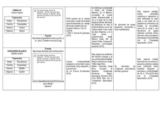 CABALLA
Caranx hippos
Taxonomía
Orden Perciformes
Familia Carangidae
Genero Caranx
Especie hippos
Fuente:
http://www.kingsailfishmounts.com/42_in
ch_Jack_Crevalle-mount-p-87.jpg
Perfil superior de la cabeza
empinada; maxilar terminando
aproximadamente por debajo
del borde posterior del ojo
longitud máxima: 124 cm
arrecife
1-350 m (Fauna Ecuatoriana,
2015)
Se distribuye ampliamente
a través del Océano
Atlántico. En el Atlántico
occidental se conoce
desde Massachusetts al
sur a lo largo de la costa
estadounidense, Bermuda,
las Bahamas, en todo el
Golfode México,enel mar
Caribe desde Cuba hasta
las Islas Vírgenes, y en la
costa centro y
sudamericana desde
México hasta Río de
Janeiro Plata, Uruguay(R.
Robertson, comunicación
personal, 2012).
Se alimentan de peces
pequeños, camarones y
otros invertebrados
Esta especie pelágica
habita ambientes
oceánicos y estuarinos y
está restringida en gran
parte a las áreas de la
plataformacontinental.Los
adultos se encuentran
cerca de la costa y con
frecuencia en aguas
salobres corriente arriba,
pero son más comunes en
salinidades(TheIUCNRed
List of Threatened
Species(tm), 2010)
CHOGORRO BLANCO
Stellifer fuerthii
Taxonomía
Orden Perciformes
Familia Sciaenidae
Genero Stellifer
Especie fuerthii
Fuente:
https://www.fishbase.de/ComNames/Co
mmon_NameSearchList.php?CommonN
ame=White+
stardrum
Cuerpo moderadamente
alargadoy comprimido;hocico
prominente; boca pequeña y
sub-terminal
20 cm (Fauna Ecuatoriana,
2015).
Esta especie es endémica
del Pacífico Oriental y se
encuentradesdeMazatlán,
México (Amezcua-Linares,
1996) hasta Perú.
Nativo: Colombia; Costa
Rica; Ecuador; El
Salvador; Guatemala;
Honduras; Méjico;
Nicaragua; Panamá; Perú
(The IUCN Red List of
Threatened Species(tm),
2010)
Se alimentan de
crustáceos planctónicos,
también gusanos.
Esta especie costera
demersal se encuentra en
estuariosybahíascosteras
poco profundas sobre
sustratos fangosos y
arenosos a profundidades
de 30 m. (The IUCN Red
List of Threatened
Species(tm), 2010)
 