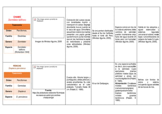 CHAME
Dormitator latifrons
Taxonomía
Orden Perciformes.
Familia Eleotridae
Genero Dormitator
Especie Dormitator
latifrons
(Richardson1844)
Imagen de Windsor Aguirre, 2009
Coloración del cuerpo oscura,
con tonalidades marrón y
naranjaen el cuerpo.Segrega
abundante mucus cuando se
lo saca del agua. Dimorfismo
sexualbien notoriolosmachos
presentan una papila genital
queterminaen punta mientras
que en las hembras la papila
es redondeada y presenta
unas vellosidades. (Windsor
Aguirre, 2009).
Se encuentran distribuidos
desde el Sur de California
hasta el norte del Perú.
(Windsor Aguirre, 2009).
Especie común en ríos de
la costaecuatoriana,tolera
cambios de salinidad,
pueden mantenerse vivos
fuera del agua durante 24
horas pero con humedad.
(Windsor Aguirre, 2009).
Habita en los estuarios, y
aguas estancadas y
sistemas lagunares
cercanasalocéano,resiste
bajas concentraciones de
oxígeno de hasta 0,4 ppm.
(Windsor Aguirre, 2009).
PERICHE
Diapterus pervulanus
Taxonomía
Orden Perciformes
Familia Gerreidae
Genero Diapterus
Especie D. pervulanus
Fuente:
https://es.slideshare.net/andre16chm/pec
es-oseos-ecuador-por-andrea-
chaspuengal
Cuerpo alto, lóbulos largos y
puntiagudos, aletas pélvicas y
anales amarillentas. Su color
característico es el color
plateado. Tamaño: Hasta 38
cm (Patzelt, E 1989).
Al sur de Galápagos.
Es una especie eurihalina
es decir, poco susceptible
a la salinidad, cuyos
ejemplares jóvenes
prefieren niveles bajos de
salinidad y zonas con
muchavegetación(Patzelt,
E 1989).
Alimentación: Crustáceos
móviles bentónicos
(camarones/cangrejos);
gasterópodos/móviles
bivalvos bentónicos;
móviles gusanos
bentónicos (Patzelt, E
1989).
Bahías con fondos de
arena y esteros,
incluyendo aguas salobres
de las bocas de ríos.
 