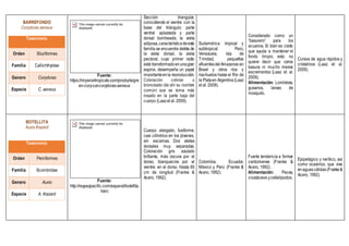 BARREFONDO
Corydoras aeneus
Taxonomía
Orden Siluriformes
Familia Callichthyidae
Genero Corydoras
Especie C. aeneus
Fuente:
https://imperialtropicals.com/products/gre
en-cory-cat-corydoras-aeneus
Sección triangular,
coincidiendo el vientre con la
base del triángulo: parte
ventral aplastada y parte
dorsal bombeada; la aleta
adiposa,característicadeesta
familia se encuentra detrás de
la aleta dorsal, la aleta
pectoral, cuyo primer radio
está transformadoenunagran
espina, desempeña un papel
importanteenla reproducción.
Coloración cobrizo o
bronceado (de ahí su nombre
común) que se torna más
rosado en la parte baja del
cuerpo (Laazet al. 2009).
Sudamérica tropical y
subtropical. Perú,
Venezuela, isla de
Trinidad, pequeños
afluentesdelAmazonas en
Brasil y otros ríos y
riachuelos hasta el Río de
la Plataen Argentina(Laaz
et al. 2009).
Considerado como un
“basurero” para los
acuarios. Si bien es cierto
que ayuda a mantener el
fondo limpio, esto no
quiere decir que coma
basura ni mucho menos
excrementos (Laaz et al.
2009).
Alimentación: Lombrices,
gusanos, larvas de
mosquito.
Cursos de agua rápidos y
cristalinos (Laaz et al.
2009).
BOTELLITA
Auxis thazard
Taxonomía
Orden Perciformes
Familia Scombridae
Genero Auxis
Especie A. thazard
Fuente:
http://reypezpacific.com/espanol/botellita.
html
Cuerpo alargado, fusiforme,
casi cilíndrico en los jóvenes,
sin escamas. Dos aletas
dorsales muy separadas.
Coloración gris azulado
brillante, más oscura por el
dorso, blanquecino por el
vientre; en el dorso. Hasta 60
cm de longitud (Franke &
Acero, 1992).
Colombia, Ecuador,
México y Perú (Franke &
Acero, 1992).
Fuerte tendencia a formar
cardúmenes (Franke &
Acero, 1992).
Alimentación: Peces,
crustáceos ycefalópodos.
Epipelágico y nerítico, así
como oceánico, que vive
enaguascálidas(Franke&
Acero, 1992).
 