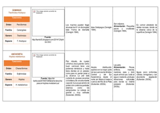 DOMINGO
Trachinotus rhodopus
Taxonomía
Orden Perciformes
Familia Carangidae
Genero Trachinotus
Especie T. rhodopus
Fuente:
http://karito55.blogspot.com/2014/12/kjnh
lon.html
Los machos pueden llegar
alcanzarlos 61 cm delongitud
total. Forma de diamante
(Cervigón 1994).
Islas Galápagos (Cervigón
1994).
Son ovíparos.
Alimentación: Pequeños
peces y crustáceos
(Cervigón 1994).
Es común alrededor de
isletas rocosas, donde se
le observa cerca de la
superficie (Cervigón1994).
ANCHOVETA
Hoplias malabaricus
Taxonomía
Orden Characiformes
Familia Erythrinidae
Genero Hoplias
Especie H. malabaricus
Fuente: https://el-
barbo.es/2016/07/28/tararira-tarucha-
pescar-hoplias-malabaricus/
Pez robusto, de cuerpo
cilíndrico, boca grande. Como
buen carnicero tiene una
poderosa dentadura y hasta
tiene dientes en el paladar,
como para no perder pieza a
su alcance. La piel está
cubierta de gruesas escamas
cicloideasyde unaabundante
capade mucusqueservirá de
proteccióncontralosparásitos
externos como las
sanguijuelas. La cabeza es
grande y muy osificada
(Kullander, 2003b).
Amplia distribución,
aparece en la mayor parte
de lascuencasdeAmérica
Central y del Sur
Sudamérica, desde el
norte (en México) hasta la
cuenca del Río de la Plata
(Kullander, 2003b).
Lacustre.
Alimentación: Peces,
anfibios, insectos,
roedores, aves y todo
aquel animal que, caído al
agua o nadando,produzca
vibraciones suficientes
para excitar su instinto
predador (Kullander,
2003b).
Aguas poco profundas,
cálidas, cenagosas y con
abundante vegetación
(Kullander, 2003b).
 
