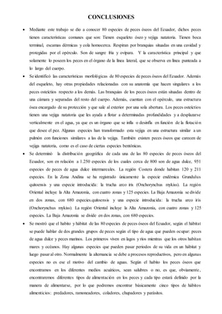 CONCLUSIONES
 Mediante este trabajo se dio a conocer 80 especies de peces óseos del Ecuador, dichos peces
tienen características comunes que son: Tienen esqueleto óseo y vejiga natatoria. Tienen boca
terminal, escamas dérmicas y cola homocerca. Respiran por branquias situadas en una cavidad y
protegidas por el opérculo. Son de sangre fría y ovípara. Y la característica principal y que
solamente lo poseen los peces en el órgano de la línea lateral, que se observa en línea punteada a
lo largo del cuerpo.
 Se identificó las características morfológicas de 80 especies de peces óseos del Ecuador. Además
del esqueleto, hay otras propiedades relacionadas con su anatomía que hacen singulares a los
peces osteíctios respecto a los demás. Las branquias de los peces óseos están situadas dentro de
una cámara y separadas del resto del cuerpo. Además, cuentan con el opérculo, una estructura
ósea encargado de su protección y que sale al exterior por una sola abertura. Los peces osteíctios
tienen una vejiga natatoria que les ayuda a flotar a determinadas profundidades y a desplazarse
verticalmente en el agua, ya que es un órgano que se infla o desinfla en función de la flotación
que desee el pez. Algunas especies han transformado esta vejiga en una estructura similar a un
pulmón con funciones similares a las de la vejiga. También existen peces óseos que carecen de
vejiga natatoria, como es el caso de ciertas especies bentónicas.
 Se determinó la distribución geográfica de cada una de las 80 especies de peces óseos del
Ecuador, son en relación a 1.250 especies de los cuales cerca de 800 son de agua dulce, 951
especies de peces de agua dulce intermareales. La región Costera donde habitan 120 y 211
especies. En la Zona Andina se ha registrado únicamente la especie endémica Grundulus
quitoensis y una especie introducida: la trucha arco iris (Onchorynchus mykiss). La región
Oriental incluye la Alta Amazonía, con cuatro zonas y 125 especies. La Baja Amazonía se divide
en dos zonas, con 680 especies.quitoensis y una especie introducida: la trucha arco iris
(Onchorynchus mykiss). La región Oriental incluye la Alta Amazonía, con cuatro zonas y 125
especies. La Baja Amazonía se divide en dos zonas, con 680 especies.
 Se mostró que el habito y hábitat de las 80 especies de peces óseos del Ecuador, según el hábitat
se puede hablar de dos grandes grupos de peces según el tipo de agua que pueden ocupar: peces
de agua dulce y peces marinos. Los primeros viven en lagos y ríos mientras que los otros habitan
mares y océanos. Hay algunas especies que pueden pasar periodos de su vida en un hábitat y
luego pasar al otro. Normalmente la alternancia se debe a procesos reproductivos, pero en algunas
especies no es ese el motivo del cambio de aguas. Según el habito los peces óseos que
encontramos en los diferentes medios acuáticos, sean salubres o no, es que, obviamente,
encontraremos diferentes tipos de alimentación en los peces y cada tipo estará definido por la
manera de alimentarse, por lo que podremos encontrar básicamente cinco tipos de hábitos
alimenticios: predadores, ramoneadores, coladores, chupadores y parásitos.
 
