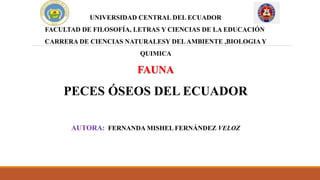 UNIVERSIDAD CENTRAL DEL ECUADOR
FACULTAD DE FILOSOFÍA, LETRAS Y CIENCIAS DE LA EDUCACIÓN
CARRERA DE CIENCIAS NATURALESY DELAMBIENTE ,BIOLOGIAY
QUIMICA
FAUNA
PECES ÓSEOS DEL ECUADOR
AUTORA: FERNANDA MISHEL FERNÁNDEZ VELOZ
 