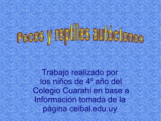 Trabajo realizado por los niños de 4º año del Colegio Cuarahí en base a  Información tomada de la página ceibal.edu.uy Peces y reptiles autóctonos 